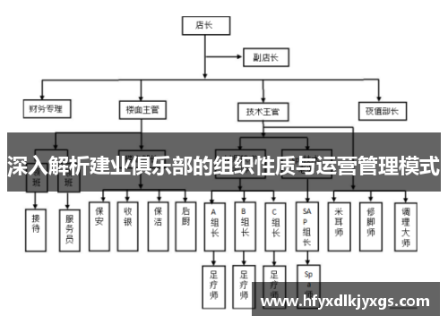 深入解析建业俱乐部的组织性质与运营管理模式